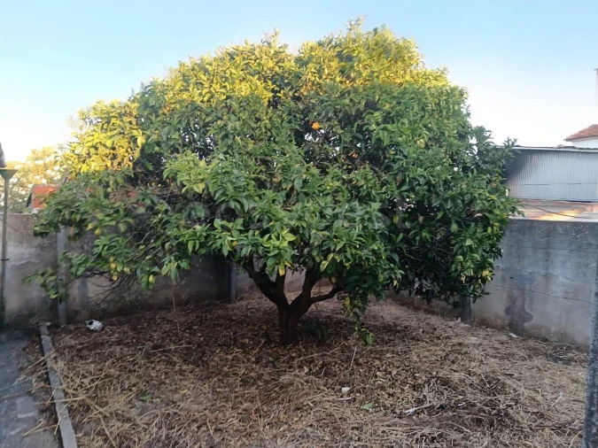 Armazém para Venda em Nazare Foto 9