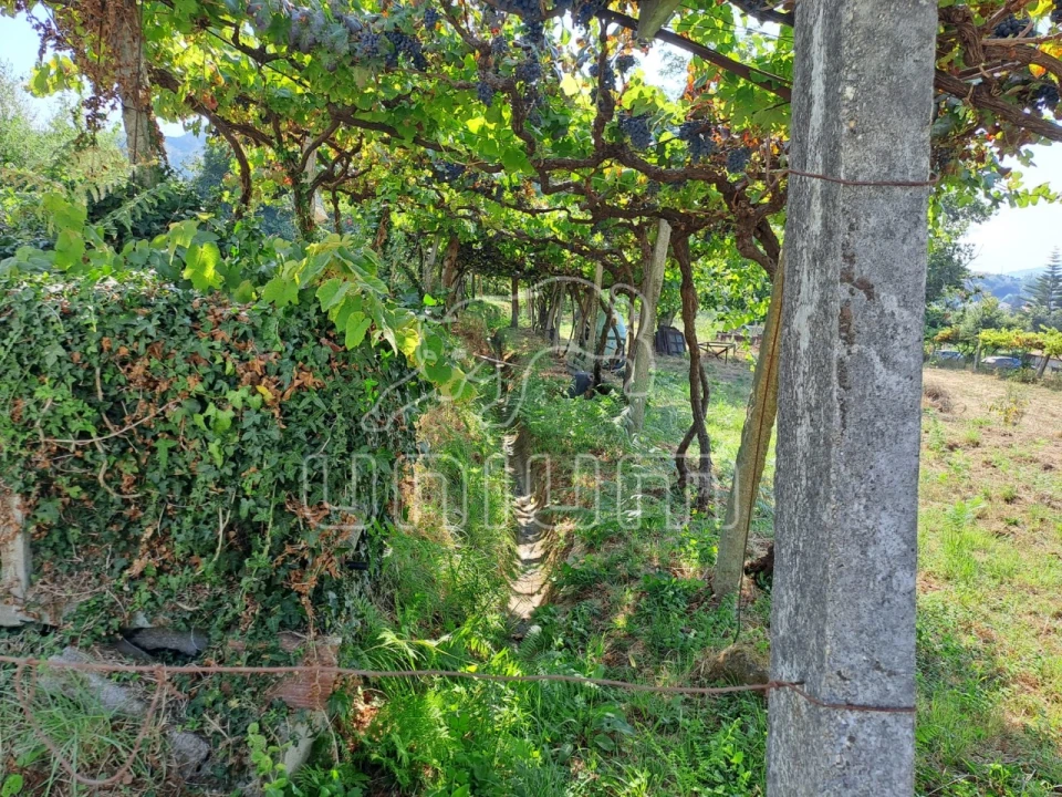 Terreno para Venda em Gondarem Foto 3