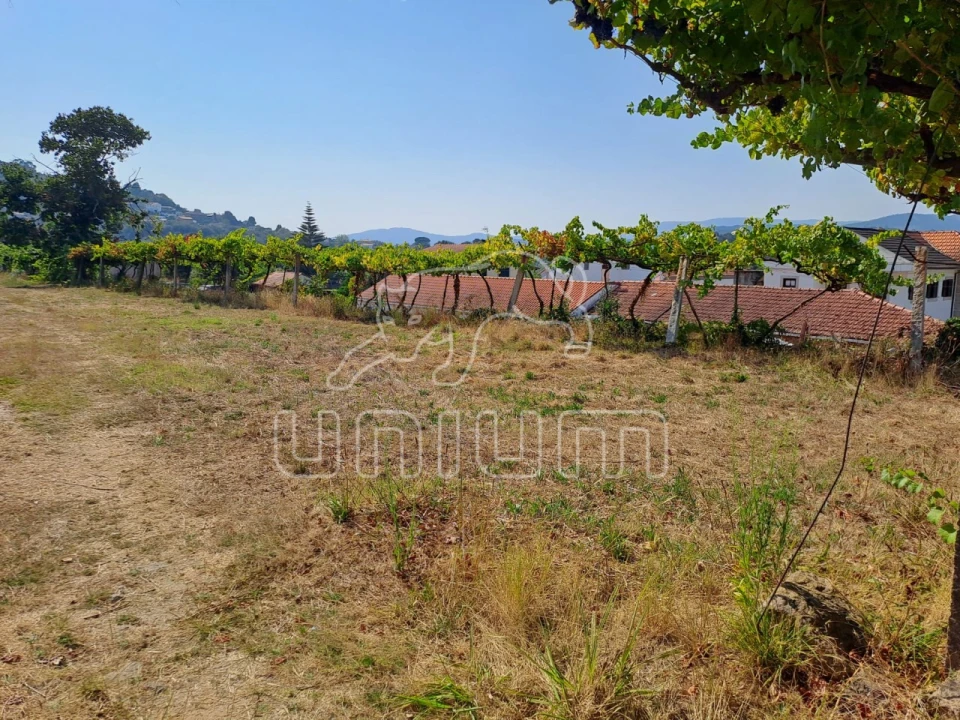 Terreno para Venda em Gondarem Foto 4