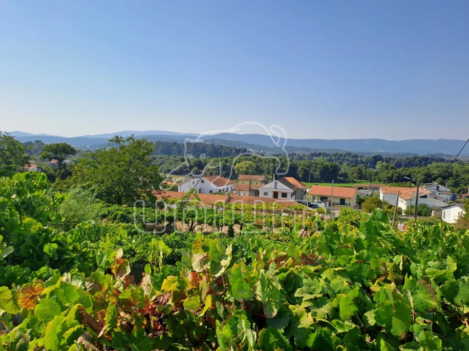 Terreno para Venda em Gondarem Foto 5