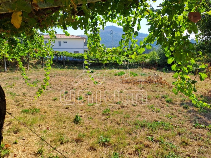 Terreno para Venda em Gondarem Foto 6