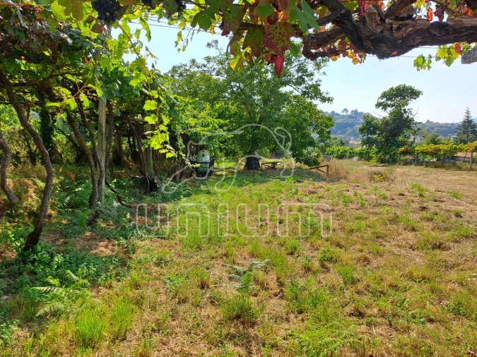 Terreno para Venda em Gondarem Foto 7