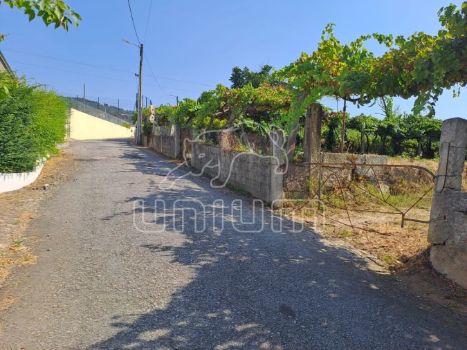 Terreno para Venda em Gondarem Foto 9