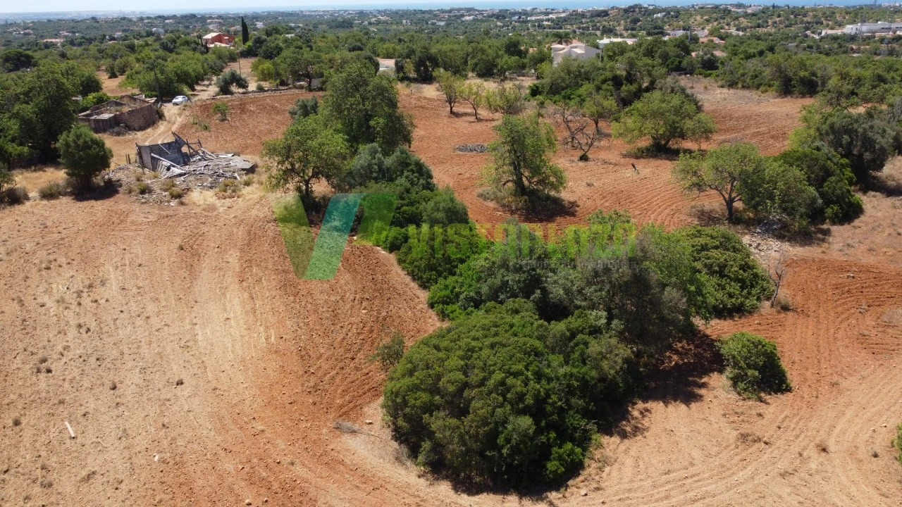 Terreno Misto para Venda em Guia Foto 7