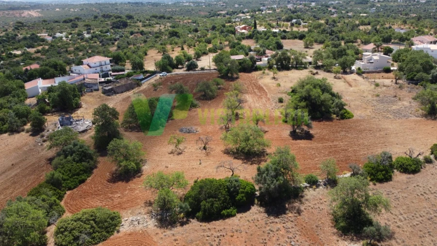 Terreno Misto para Venda em Guia Foto 8
