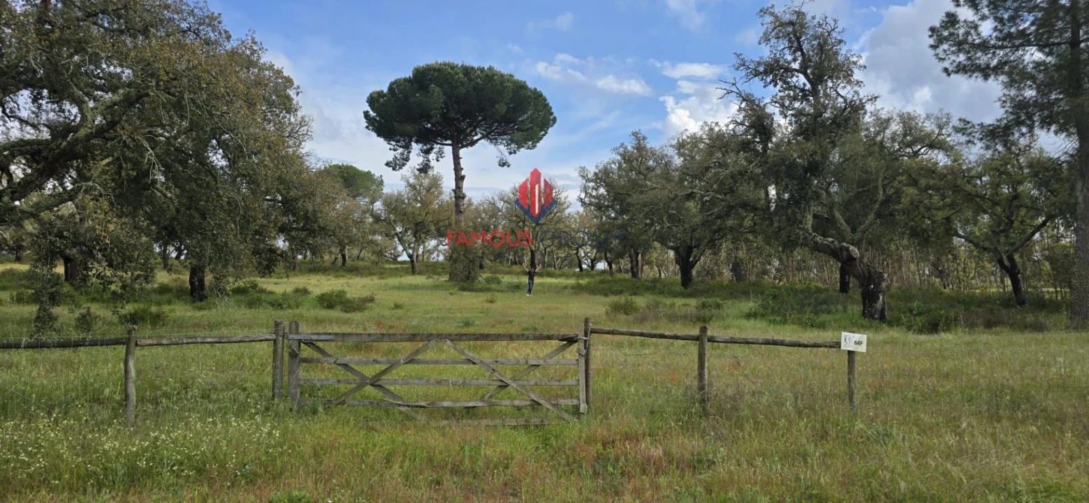 Terreno para Venda em Santo Estêvão Foto 11