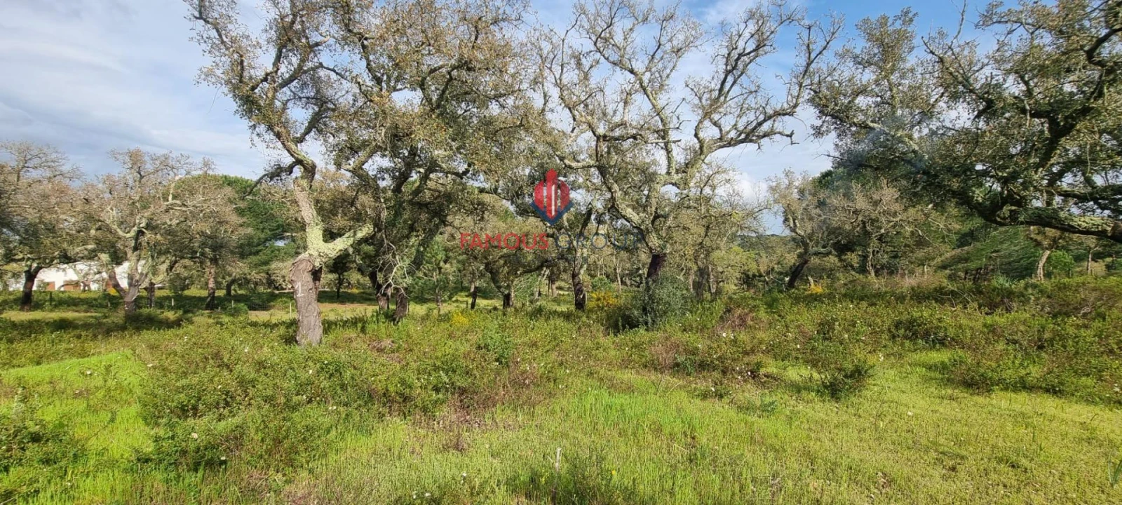 Terreno para Venda em Santo Estêvão Foto 3