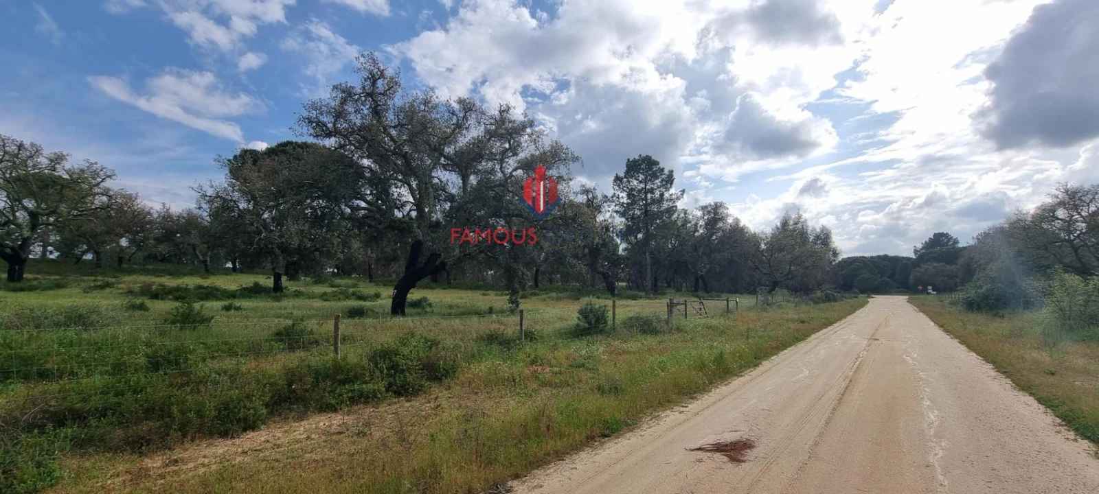 Terreno para Venda em Santo Estêvão Foto 4