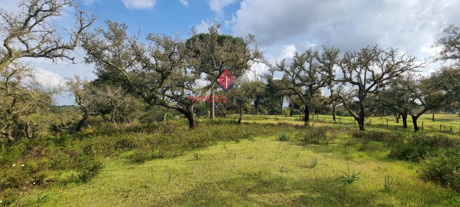 Terreno para Venda em Santo Estêvão Foto 6