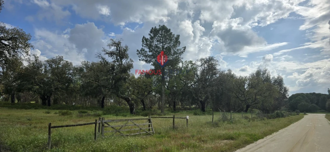 Terreno para Venda em Santo Estêvão Foto 1