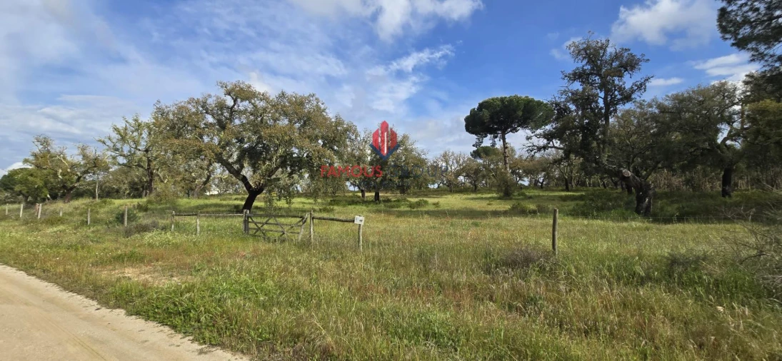 Terreno para Venda em Santo Estêvão Foto 10