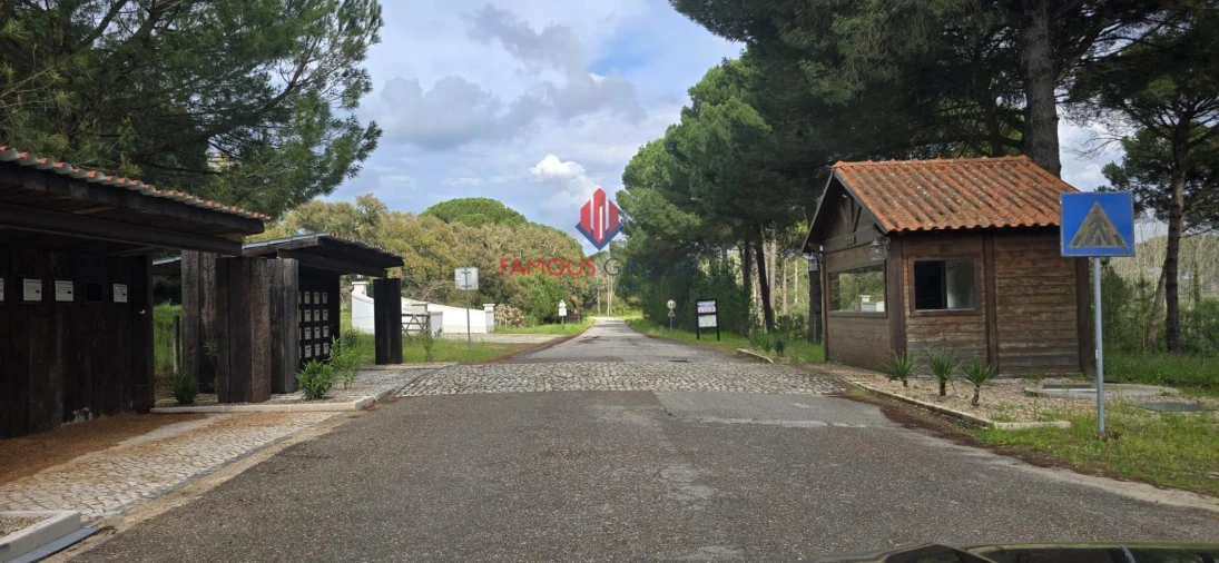 Terreno para Venda em Santo Estêvão Foto 13
