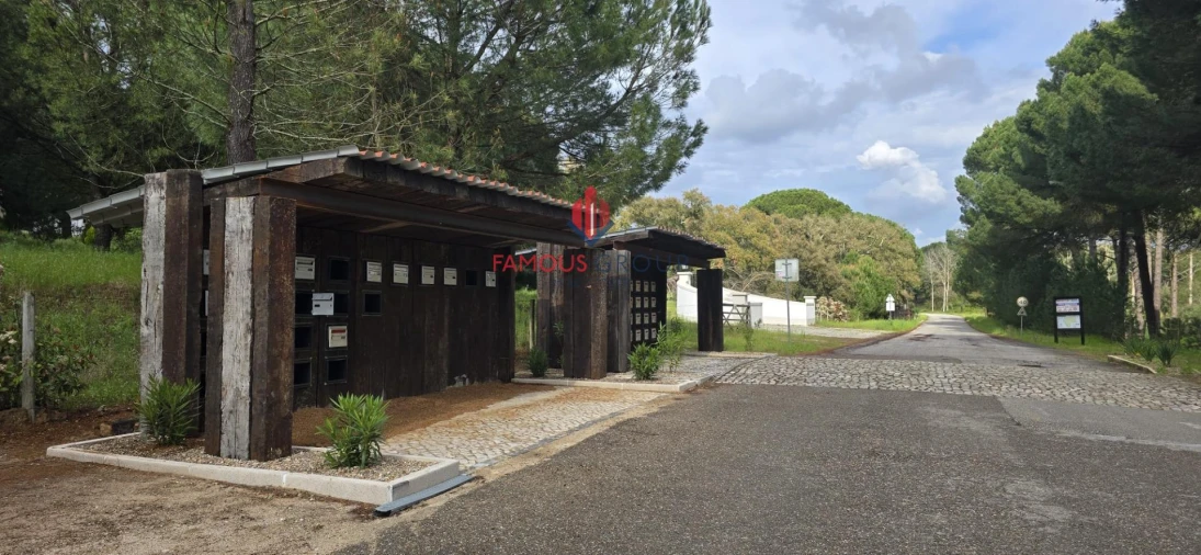 Terreno para Venda em Santo Estêvão Foto 14