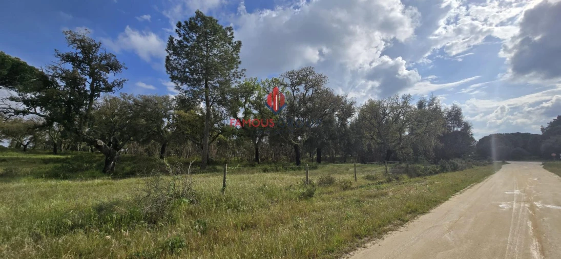Terreno para Venda em Santo Estêvão Foto 8