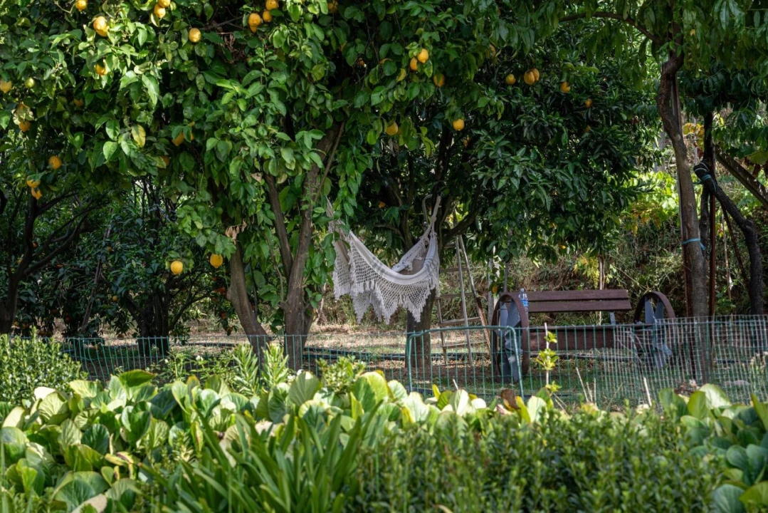 Moradia T5 para Venda em Monção e Troviscoso Foto 40