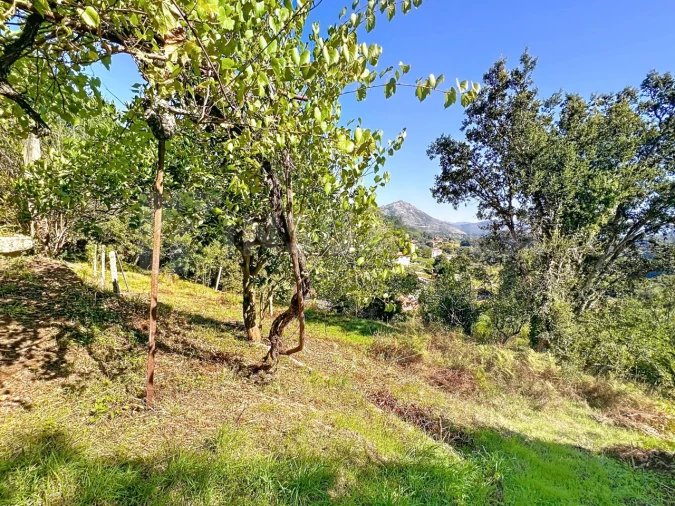 Moradia T4 para Venda em Vilar de Mouros Foto 27