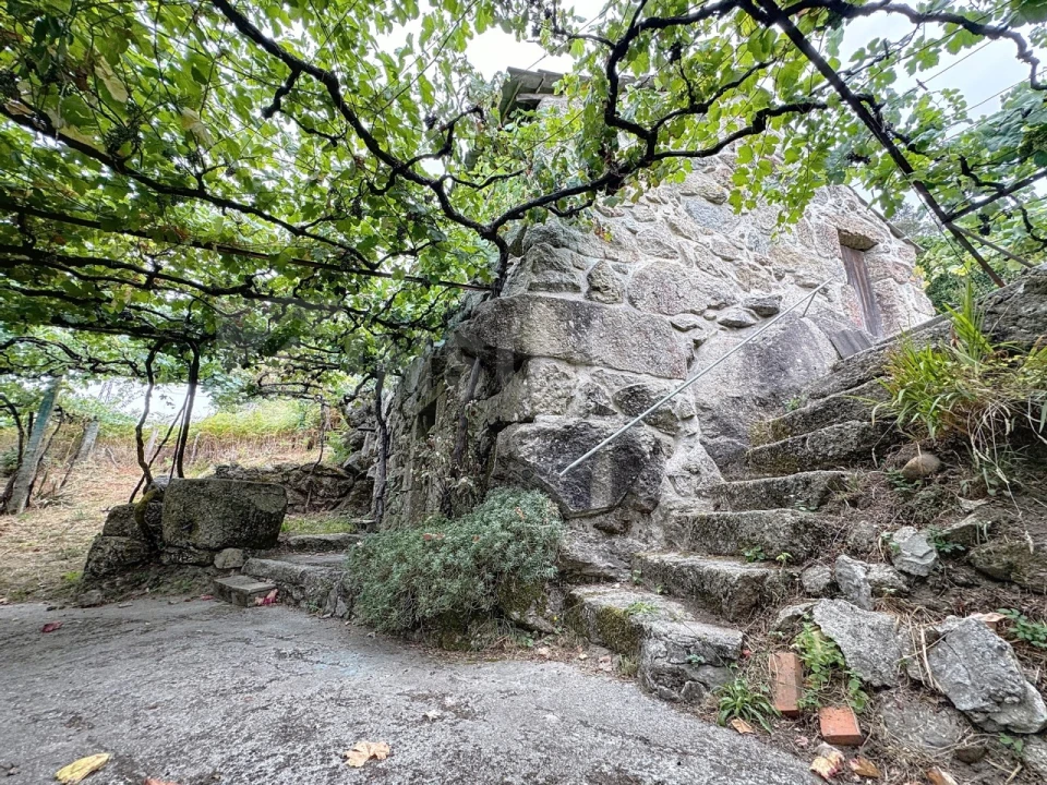 Quinta T2 para Venda em Mozelos Foto 14