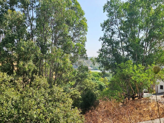 Moradia T3 para Venda em Alcoutim e Pereiro Foto 9