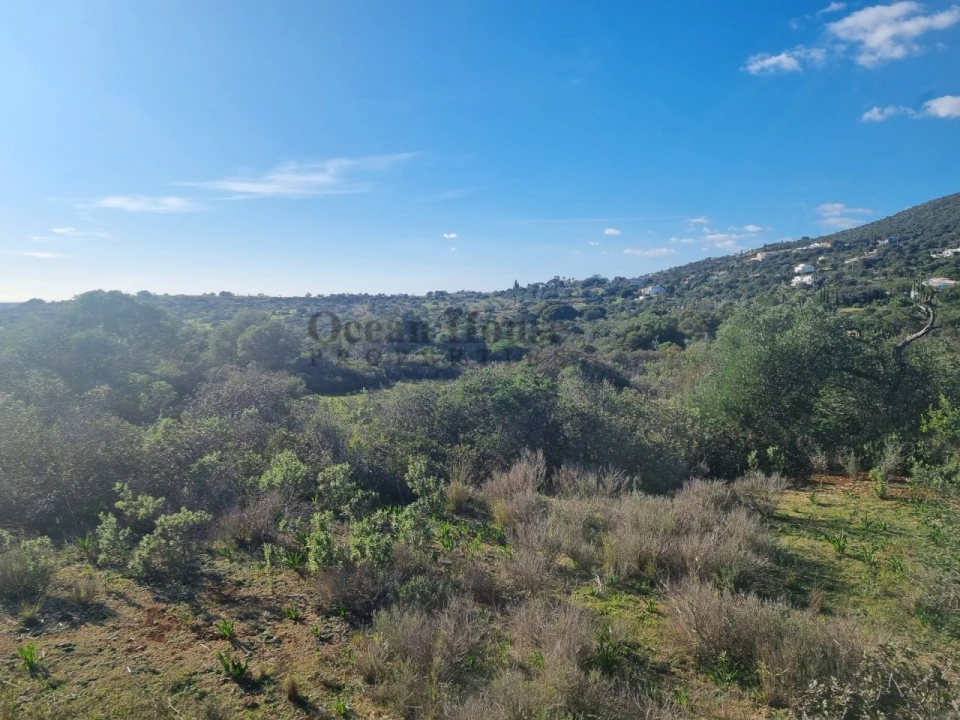 Terreno Agricola ou Rústico para Venda em Santa Barbara de Nexe Foto 2