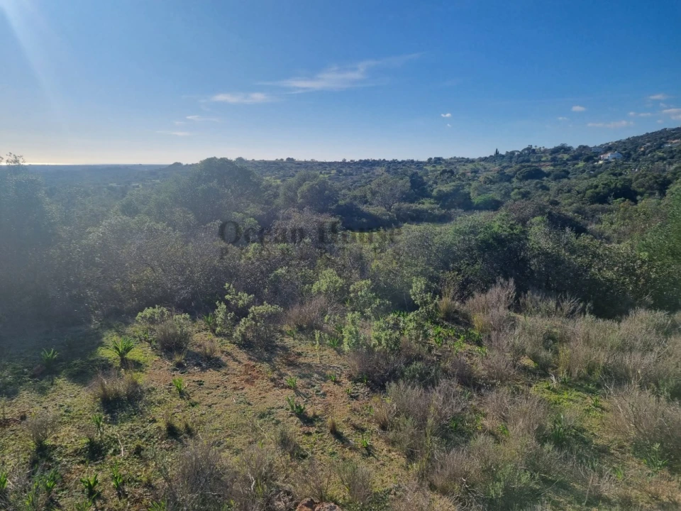 Terreno Agricola ou Rústico para Venda em Santa Barbara de Nexe Foto 4
