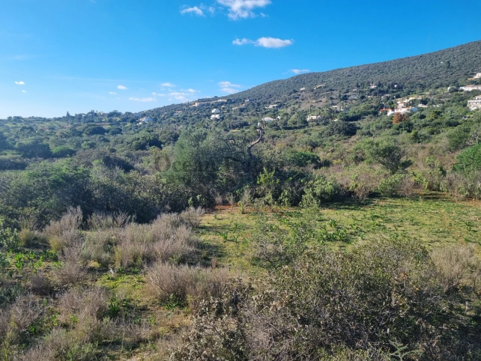 Terreno Agricola ou Rústico para Venda em Santa Barbara de Nexe Foto 3
