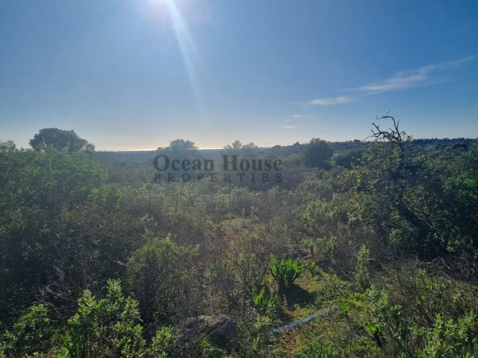 Terreno Agricola ou Rústico para Venda em Santa Barbara de Nexe Foto 6