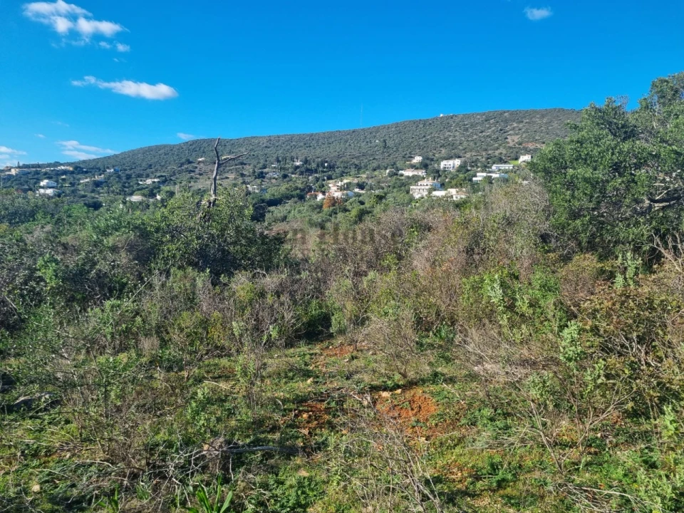 Terreno Agricola ou Rústico para Venda em Santa Barbara de Nexe Foto 1
