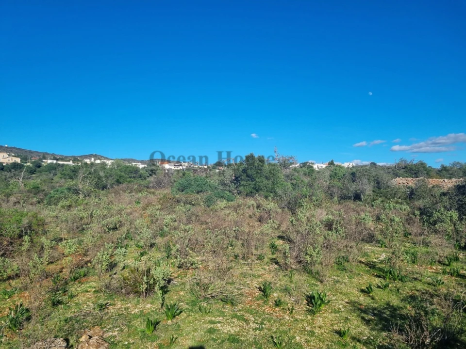 Terreno Agricola ou Rústico para Venda em Santa Barbara de Nexe Foto 7
