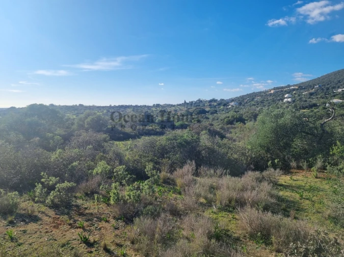 Terreno Agricola ou Rústico para Venda em Santa Barbara de Nexe Foto 2