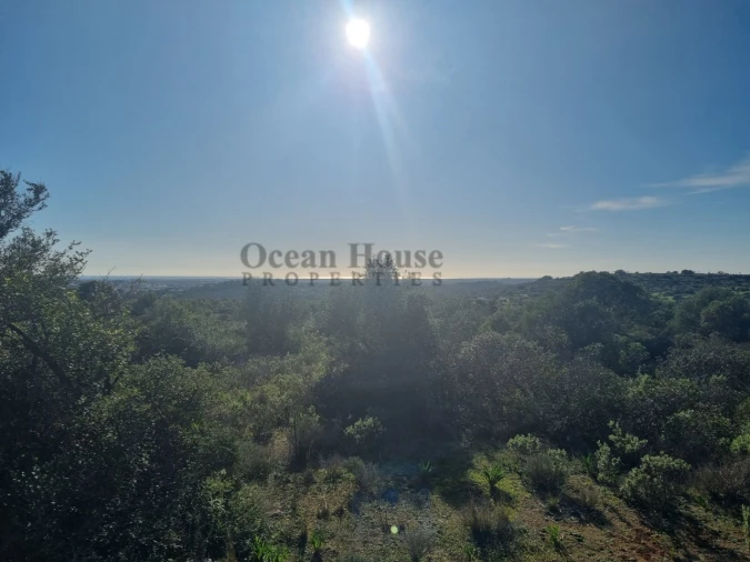 Terreno Agricola ou Rústico para Venda em Santa Barbara de Nexe Foto 5