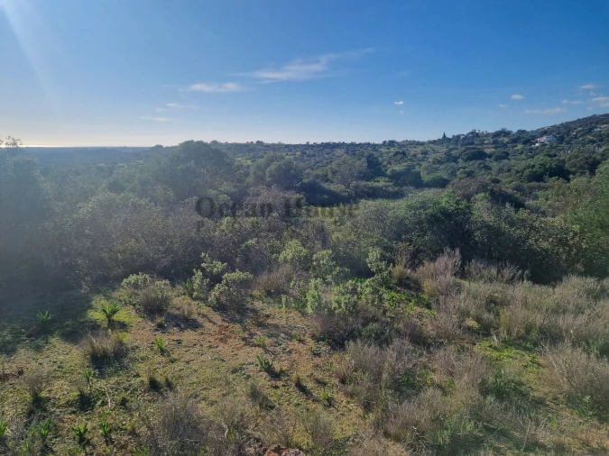 Terreno Agricola ou Rústico para Venda em Santa Barbara de Nexe Foto 4