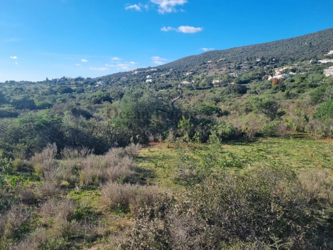 Terreno Agricola ou Rústico para Venda em Santa Barbara de Nexe Foto 3