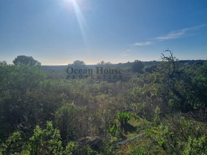 Terreno Agricola ou Rústico para Venda em Santa Barbara de Nexe Foto 6