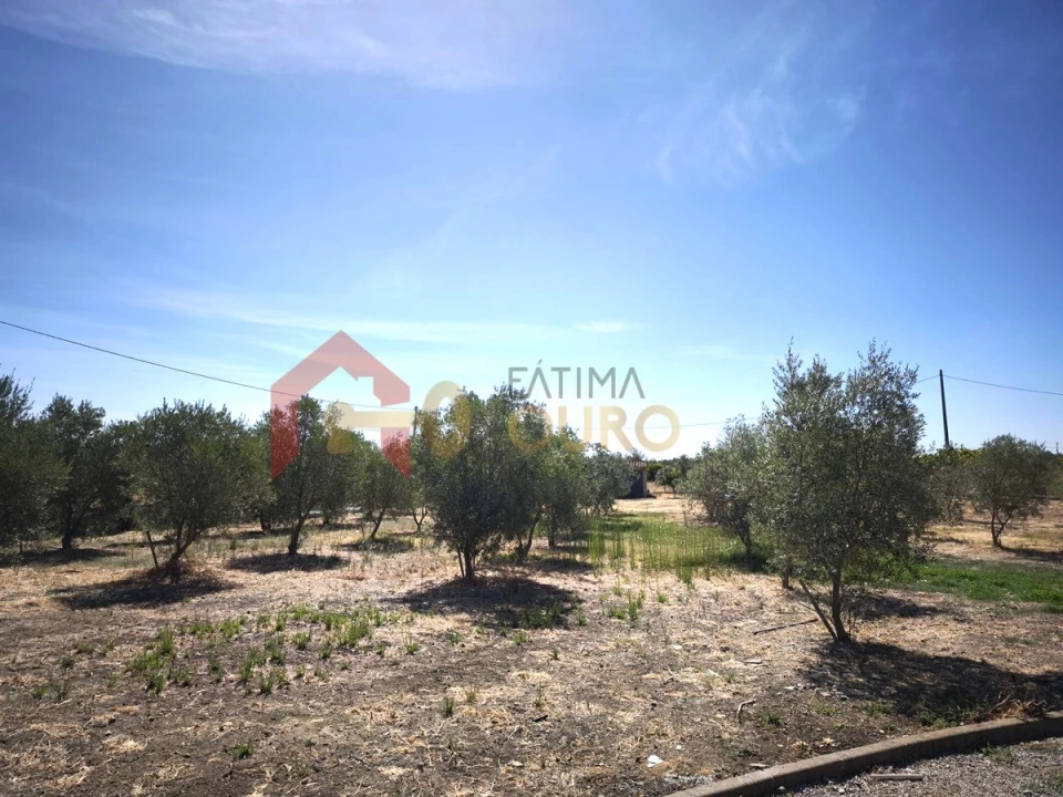 Quinta T3 para Venda em Nossa Senhora da Expectação Foto 36