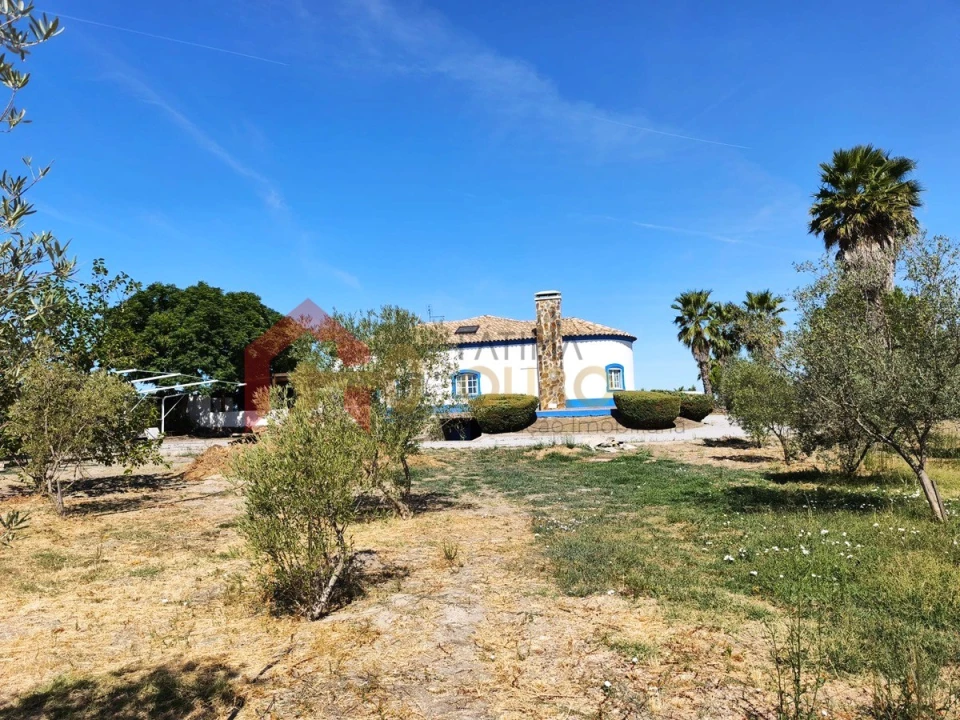 Quinta T3 para Venda em Nossa Senhora da Expectação Foto 39