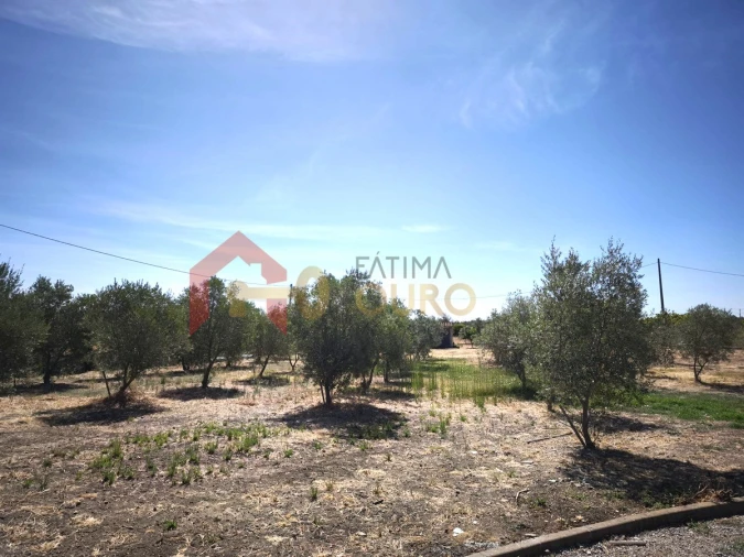 Quinta T3 para Venda em Nossa Senhora da Expectação Foto 36