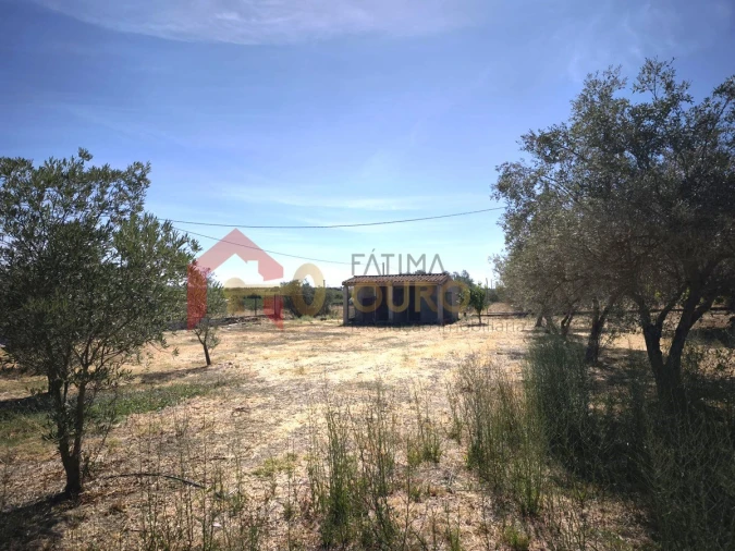 Quinta T3 para Venda em Nossa Senhora da Expectação Foto 37