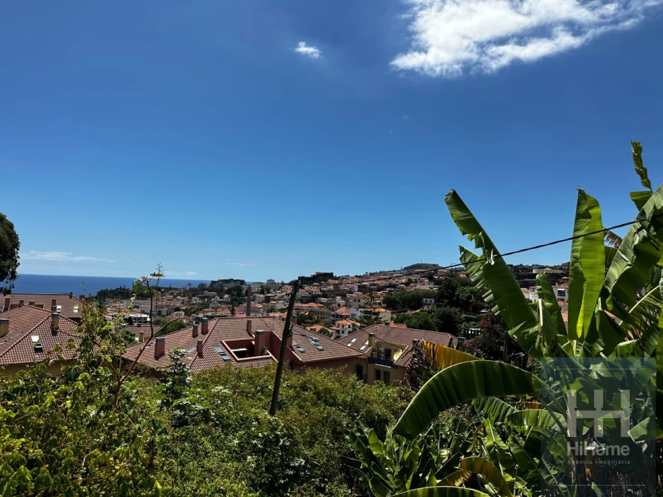 Moradia T3 para Venda em Funchal (Santa Luzia) Foto 3