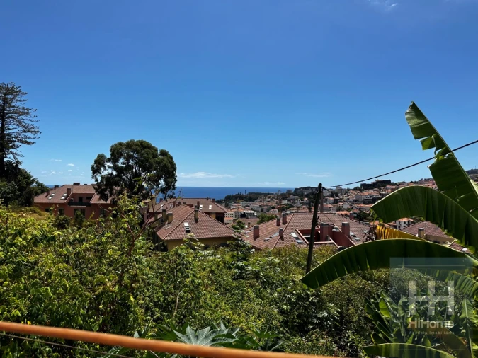 Moradia T3 para Venda em Funchal (Santa Luzia) Foto 4