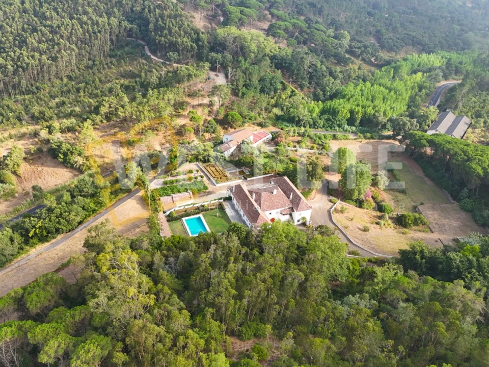 Quinta T8 para Venda em Mafra Foto 23