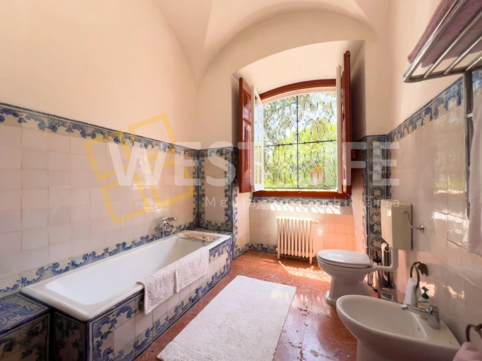 Quinta T8 para Venda em Mafra Foto 40