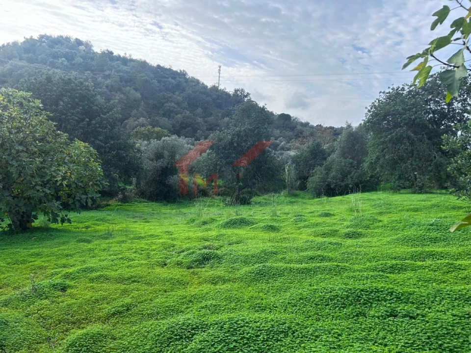 Terreno para Venda em Salir Foto 1