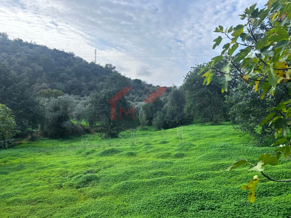 Terreno para Venda em Salir Foto 3