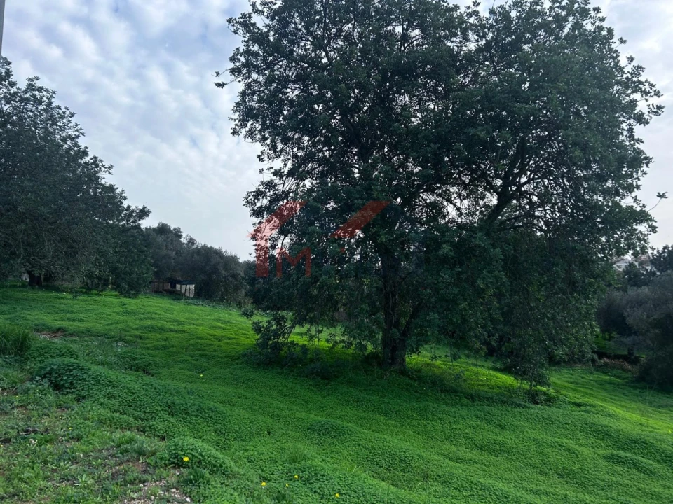 Terreno para Venda em Salir Foto 6