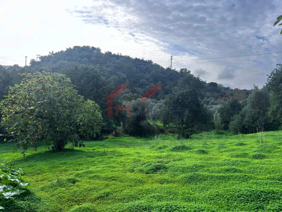 Terreno para Venda em Salir Foto 7
