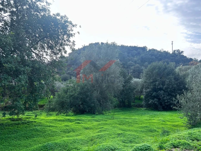 Terreno para Venda em Salir Foto 2