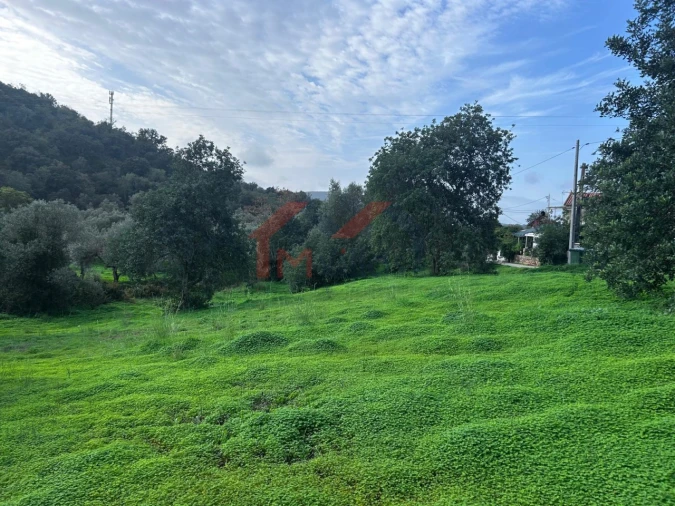 Terreno para Venda em Salir Foto 4