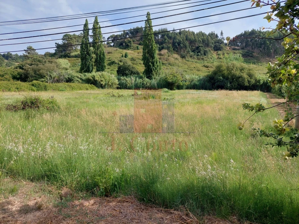 Terreno para Venda em Salir de Matos Foto 5
