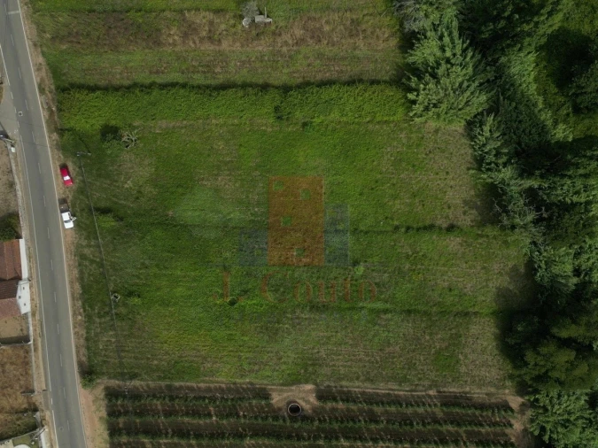 Terreno para Venda em Salir de Matos Foto 9