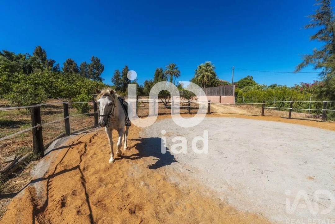 Moradia T6 para Venda em Luz de Tavira e Santo Estêvão Foto 28